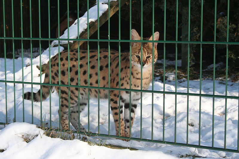 Killikus® Fotographie Killikus® Fotographie